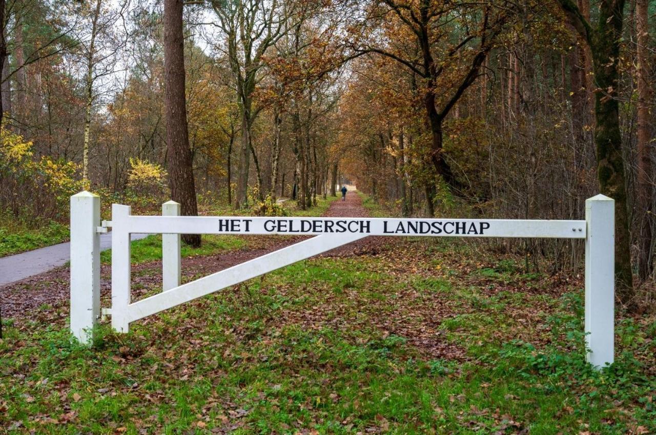 Dennenhuisje op bospark IJsselheide Hattemerbroek Eksteriør bilde